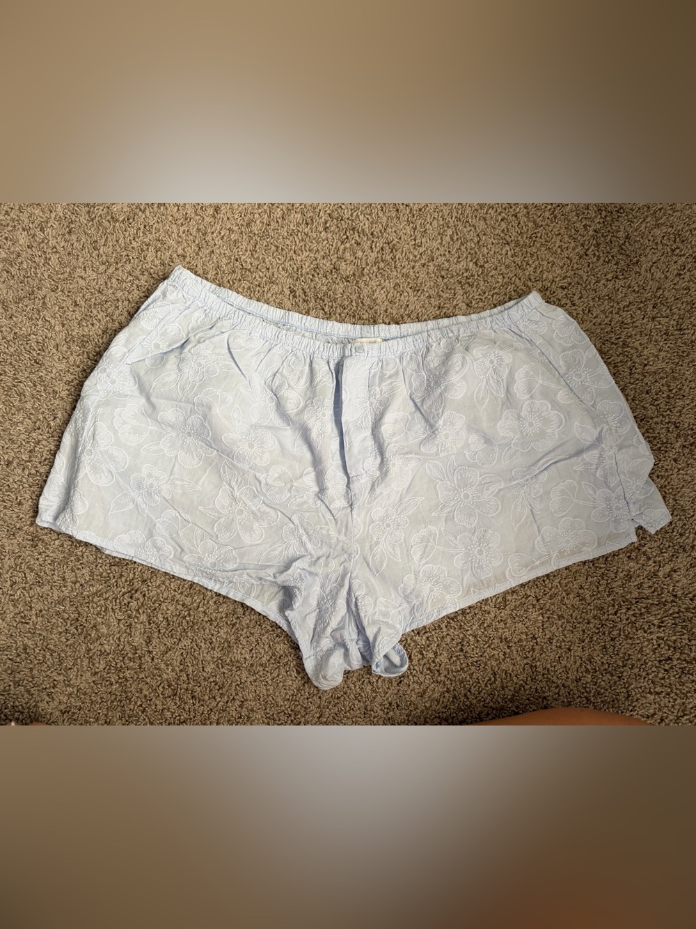 aerie Light Blue Floral Eyelet Shorts